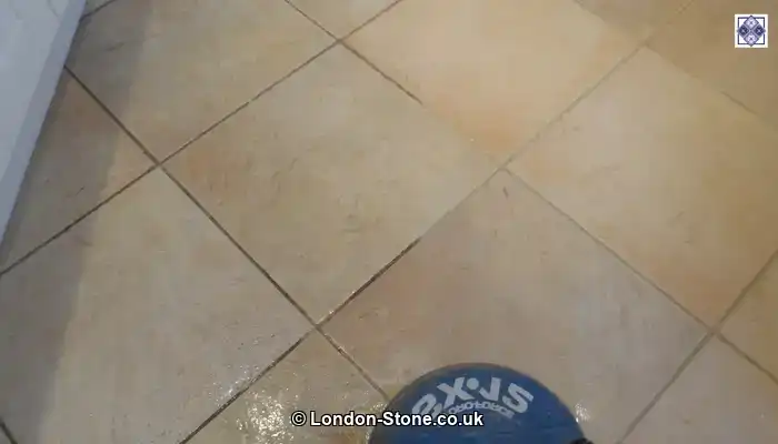 Deep Cleaning for Lasting Results