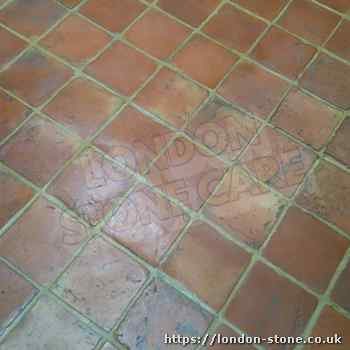 Example displaying Terracotta Tile Polishing in Burnt Oak